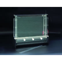 DNA序列分析電泳槽