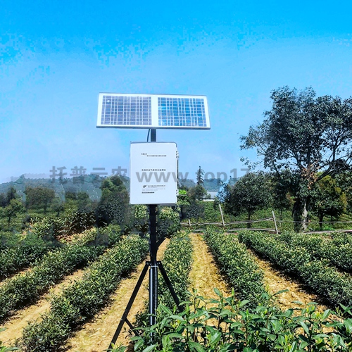 土壤多參數(shù)自動(dòng)監(jiān)測(cè)站 TZS-GPRS-I