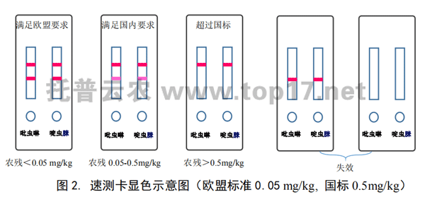 茶葉農(nóng)殘速測(cè)卡顯色示意圖
