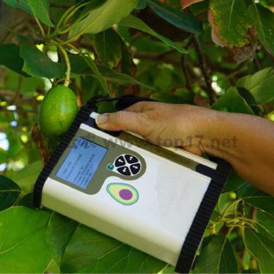 鱷梨品質(zhì)無損測量儀