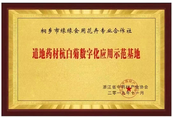 道地藥材杭白菊數(shù)字化應用示范基地