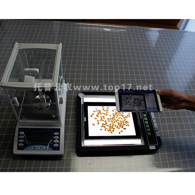 水稻考種分析系統(tǒng)