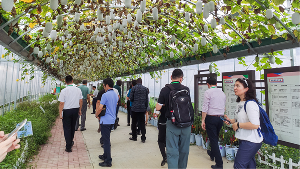 考察團(tuán)一行詳細(xì)了解數(shù)字農(nóng)業(yè)解決方案和具體應(yīng)用成效