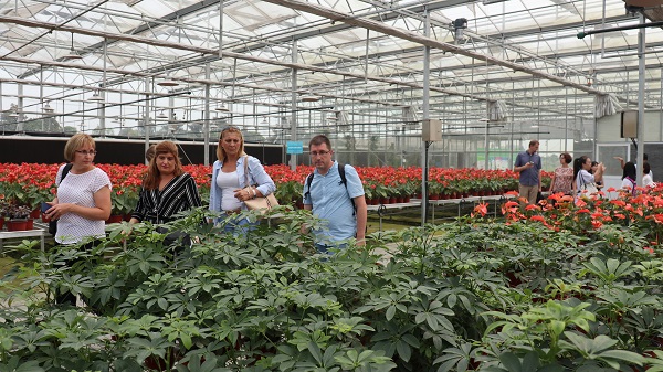 研修班一行在現(xiàn)代農(nóng)業(yè)產(chǎn)業(yè)園現(xiàn)場觀摩6