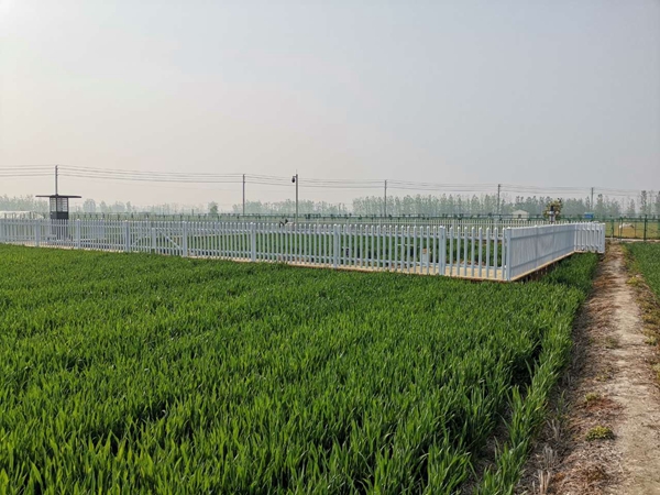 r(nng)cKֲֲzվwr(nng)ĺf(xi)h