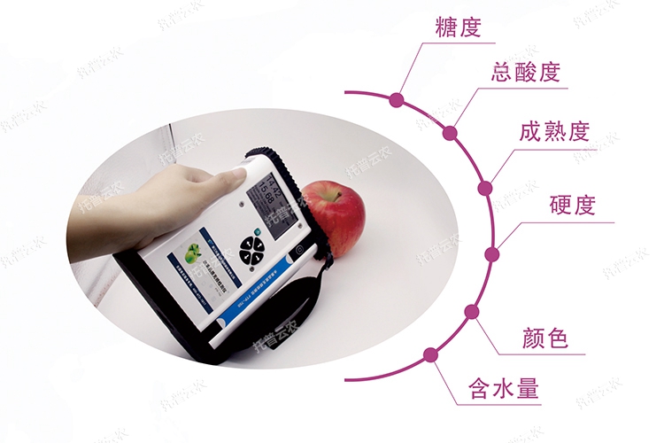 水果品質(zhì)無損檢測儀