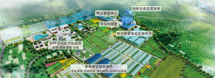 信息化種業(yè)基地