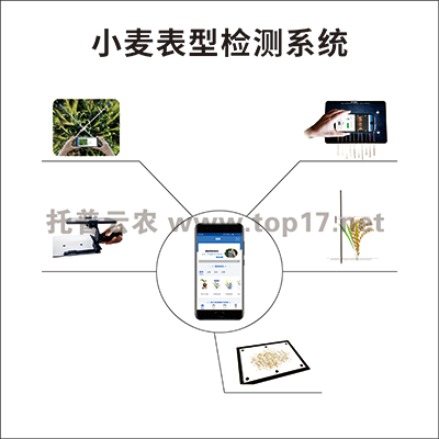 玉米表型檢測系統(tǒng) TPY-BX-1