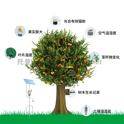 植物生理生態(tài)監(jiān)測系統(tǒng)