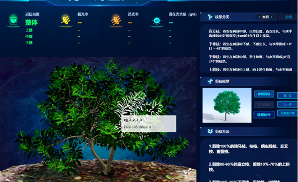 “云”上種顆楊梅樹,農(nóng)戶照著養(yǎng)楊梅