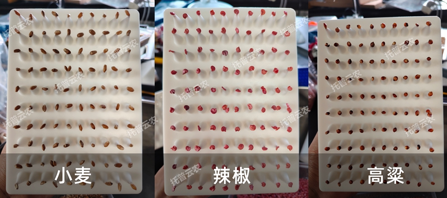 TP-SZC-50多功能真空數(shù)種置床臺(tái)