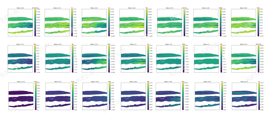 溫室型高通量植物表型采集分析平臺(tái)-高光譜-玉米葉
