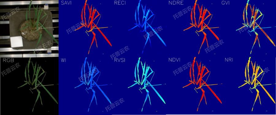 澳ģMֲLO(jin)yƽ_-߹VcָY